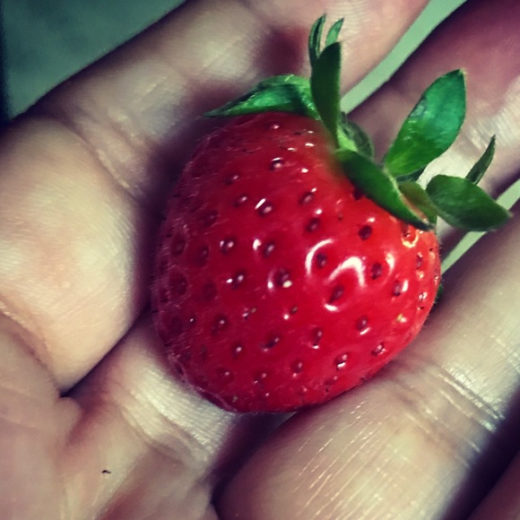 Meet your Posher, Wandeyu - Picture 1 of 1